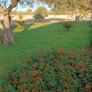 https://il-casale-colle-san-pietro.sicilyhotelsitaly.net